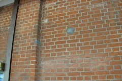 Buquebus_009