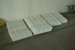 C_ezcurra_007