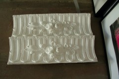 C_ezcurra_008