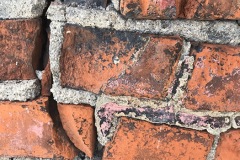 IMG_3912