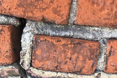 IMG_3913