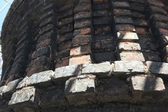 IMG_3921