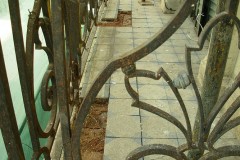 DSCN5050