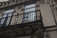 IMG_3496