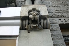 leones002