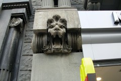 leones003