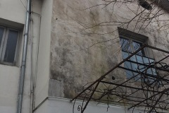 IMG_0930