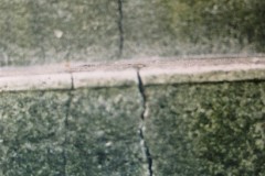 Pje_la_nave_004