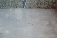 Pje_la_nave_019