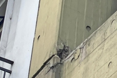 desprendimientos-hormigon-4 desprendimientos-hormigon-4